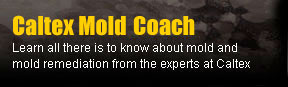 Mold Coach